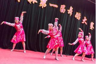 成人独舞苗族舞蹈视频,传承千年文化的舞动灵魂